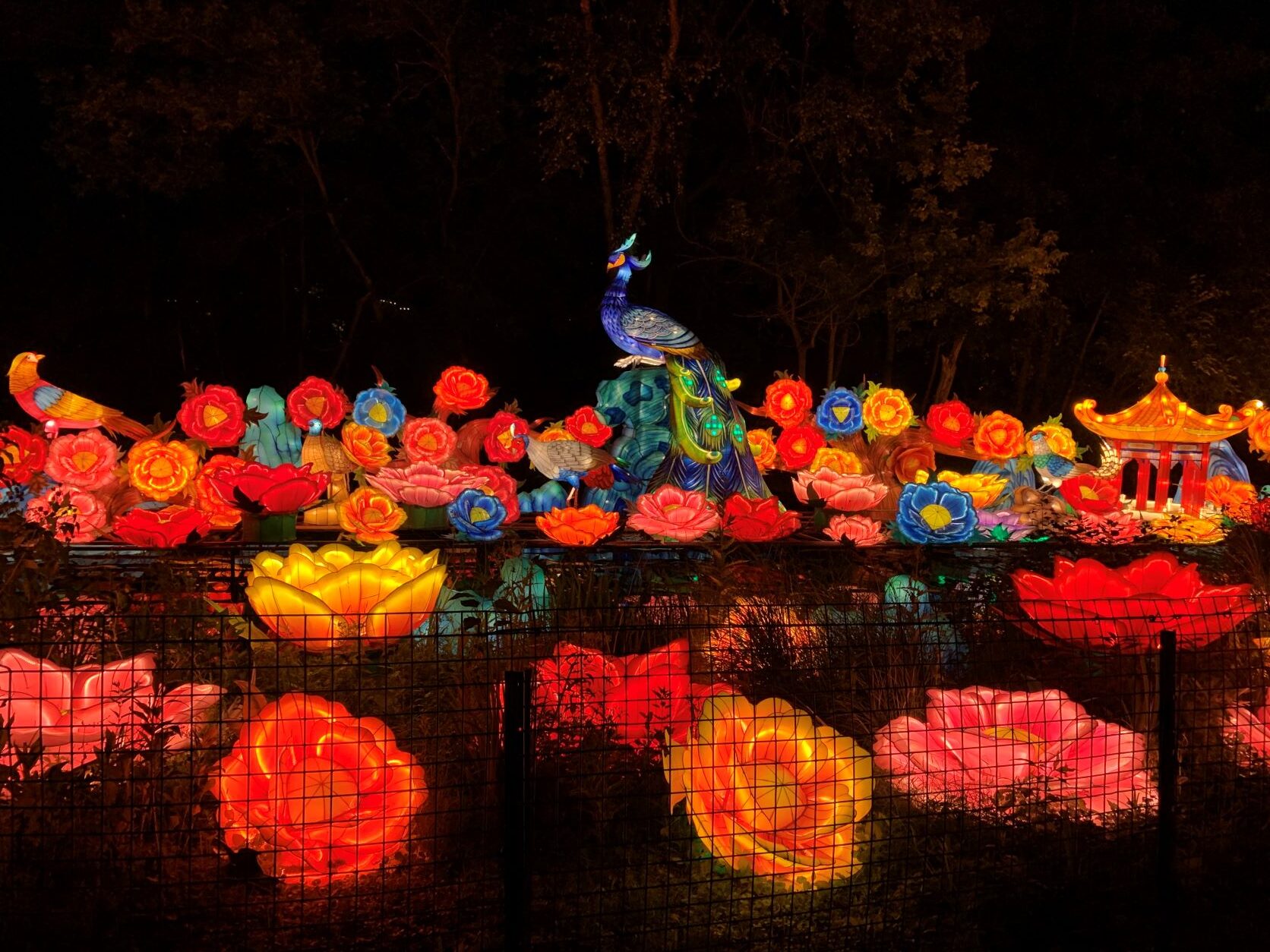 Asian Lantern Festival Cleveland Zoo PPWBP