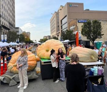 Ohio’s Festival Weekend: October 8-11, 2026