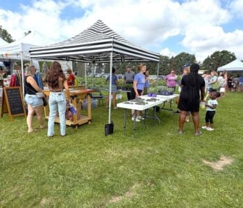 Lavender Fest at Luckey Road Lavender Farm – Pemberville, Ohio